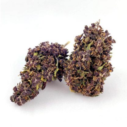 purple fleur cbd