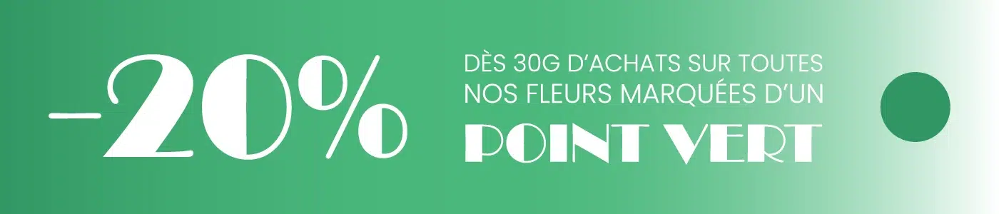 Bannière 20% de réduction pour 30g achetés