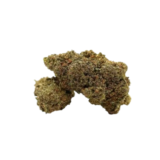 Fleur N10 Pink Panther