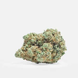 AMNESIA PREMIUM N°10