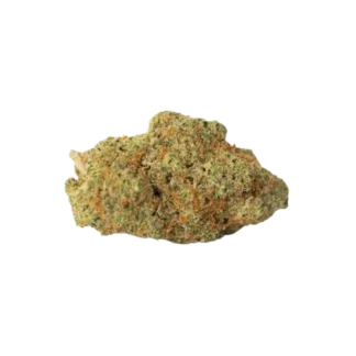 Fleur N10 Premium Orangello