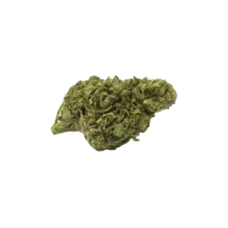 Fleur N10 White Rhino