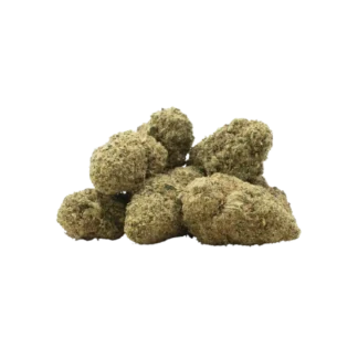 Fleur CSA Green Jack