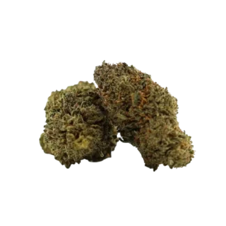 Fleur N10 Pink