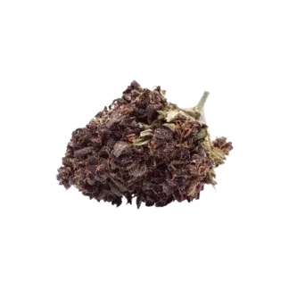 Fleur N10 Purple