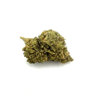 Fleur N10 Berry