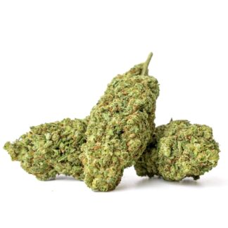 Bubble Gum - Fleur CBD Premium