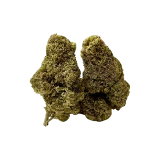 Fleur N10 Tropicana