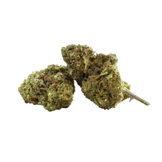 Fleur 10-OH+ Blackberry