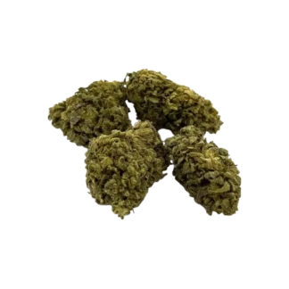 Fleur THX Amnesia V